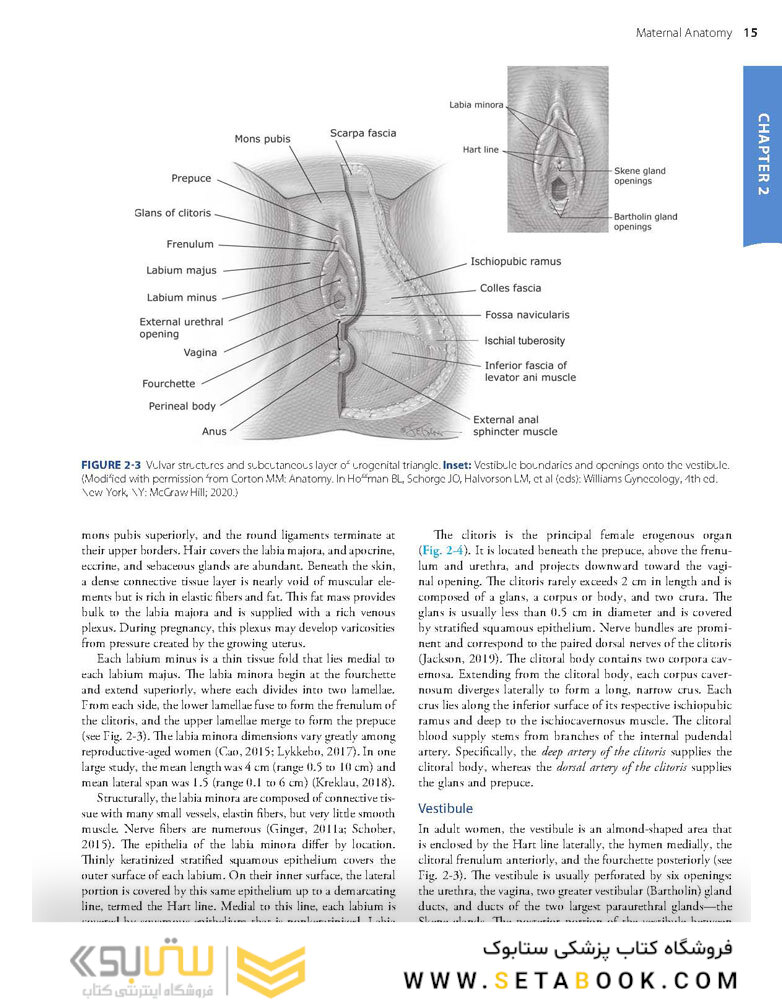 Williams Obstetrics 26th Edicion 2022