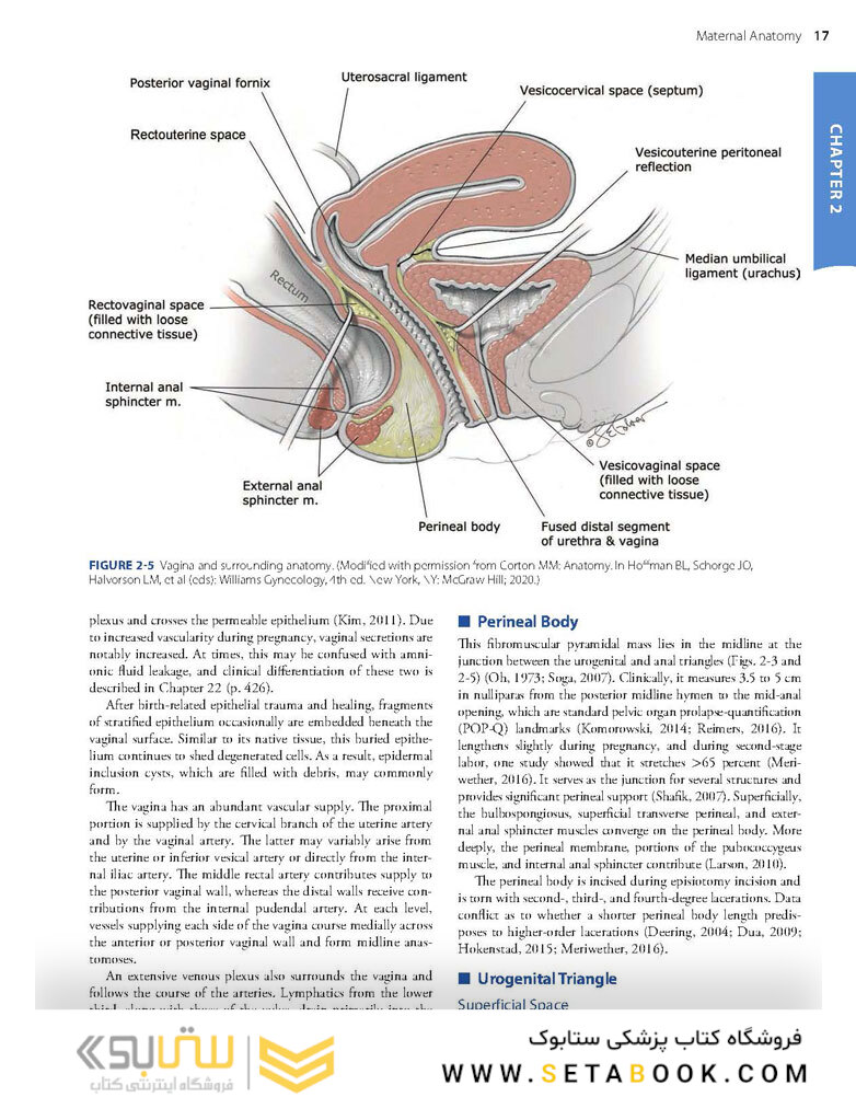 Williams Obstetrics 26th Edicion 2022