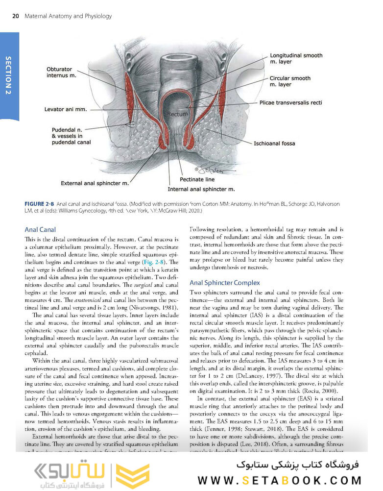 Williams Obstetrics 26th Edicion 2022