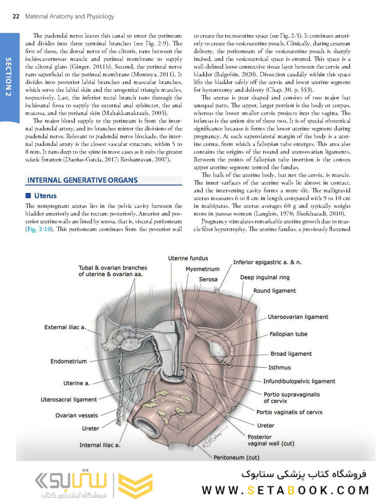 Williams Obstetrics 26th Edicion 2022