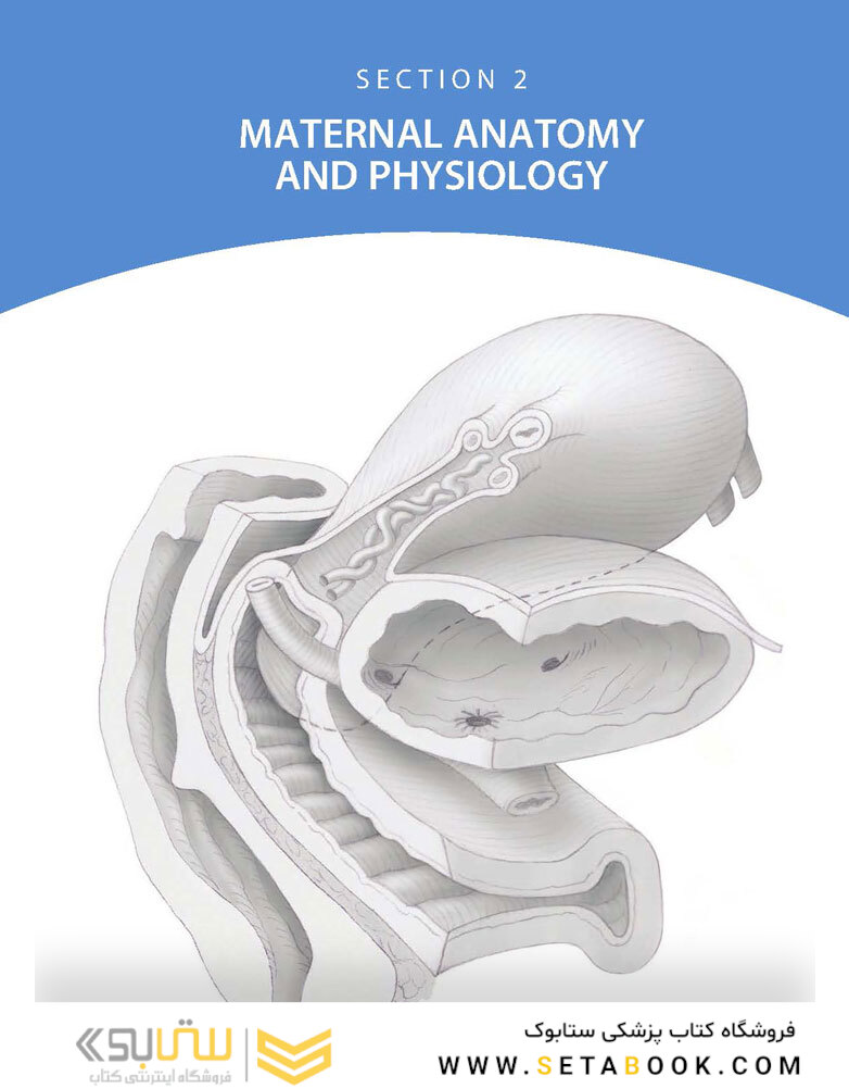 Williams Obstetrics 26th Edicion 2022