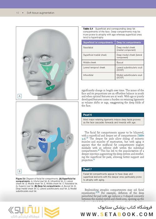 Soft Tissue Augmentation: Procedures in Cosmetic Dermatology Series