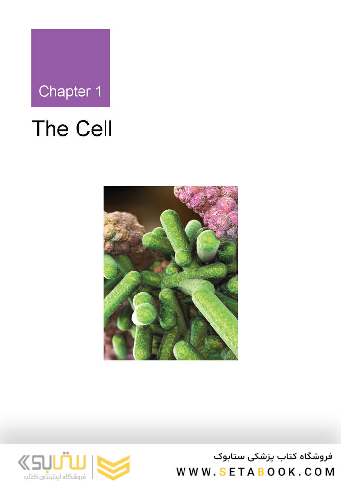 MCAT Biology Review 2023-2024