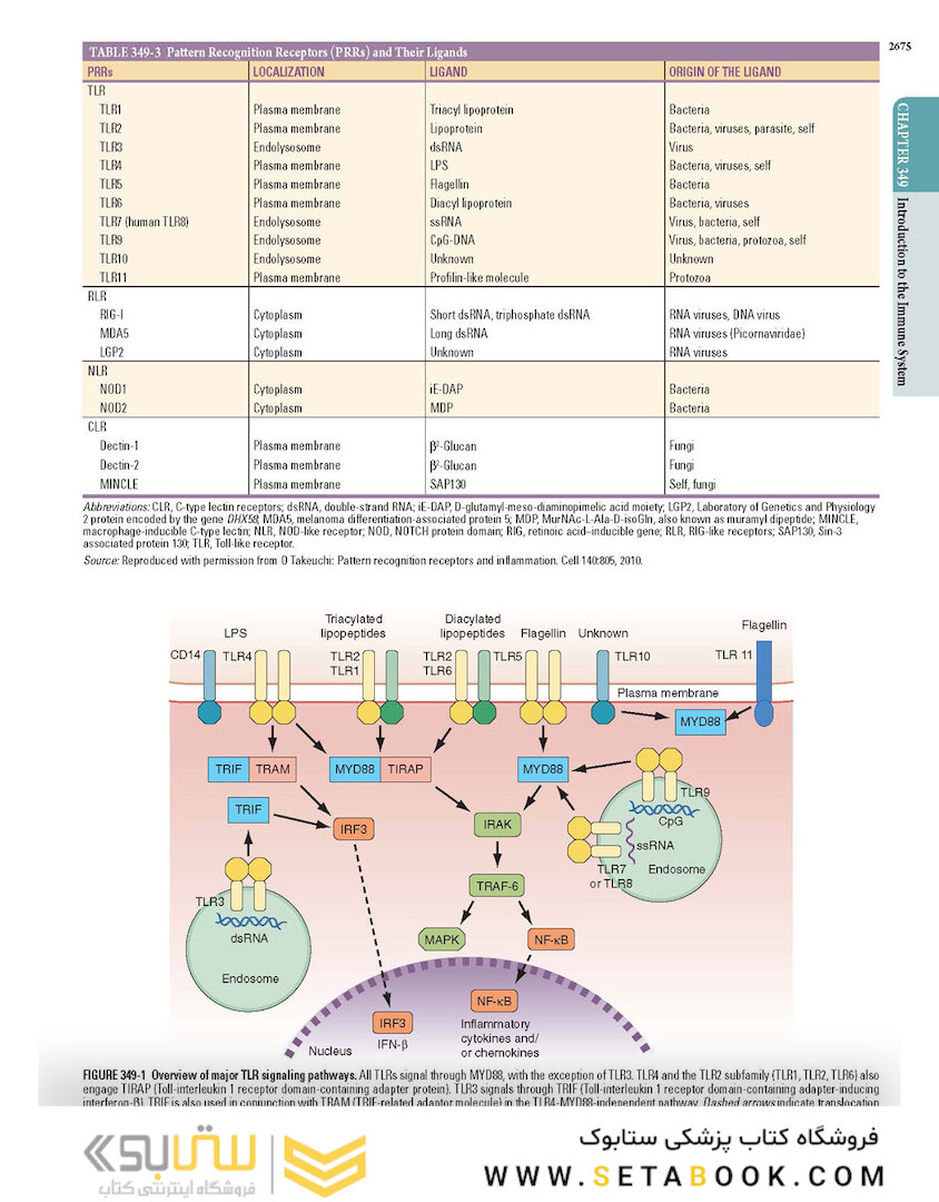 HARRISONS PRINCIPLES OF INTERNAL MEDICINE Part Immune_Mediated,Inflammatory,and Rheumatologic Disorders