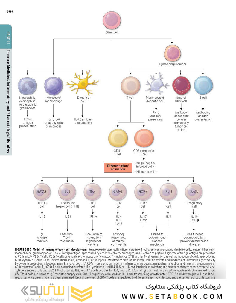 HARRISONS PRINCIPLES OF INTERNAL MEDICINE Part Immune_Mediated,Inflammatory,and Rheumatologic Disorders