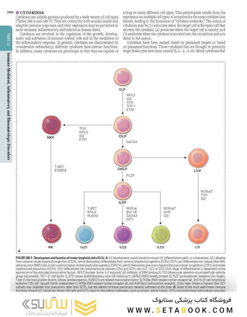 HARRISONS PRINCIPLES OF INTERNAL MEDICINE Part Immune_Mediated,Inflammatory,and Rheumatologic Disorders