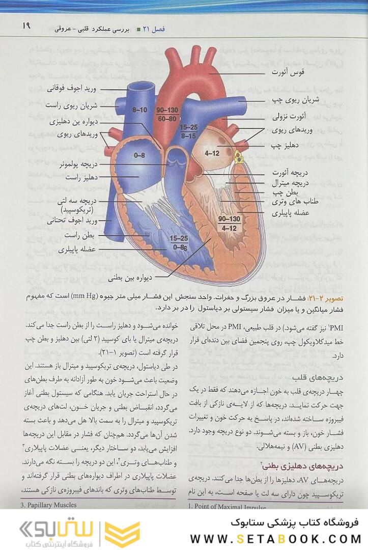 پرستاری داخلی جراحی برونر سودارث 2022 قلب و عروق و گردش خون جلد 5