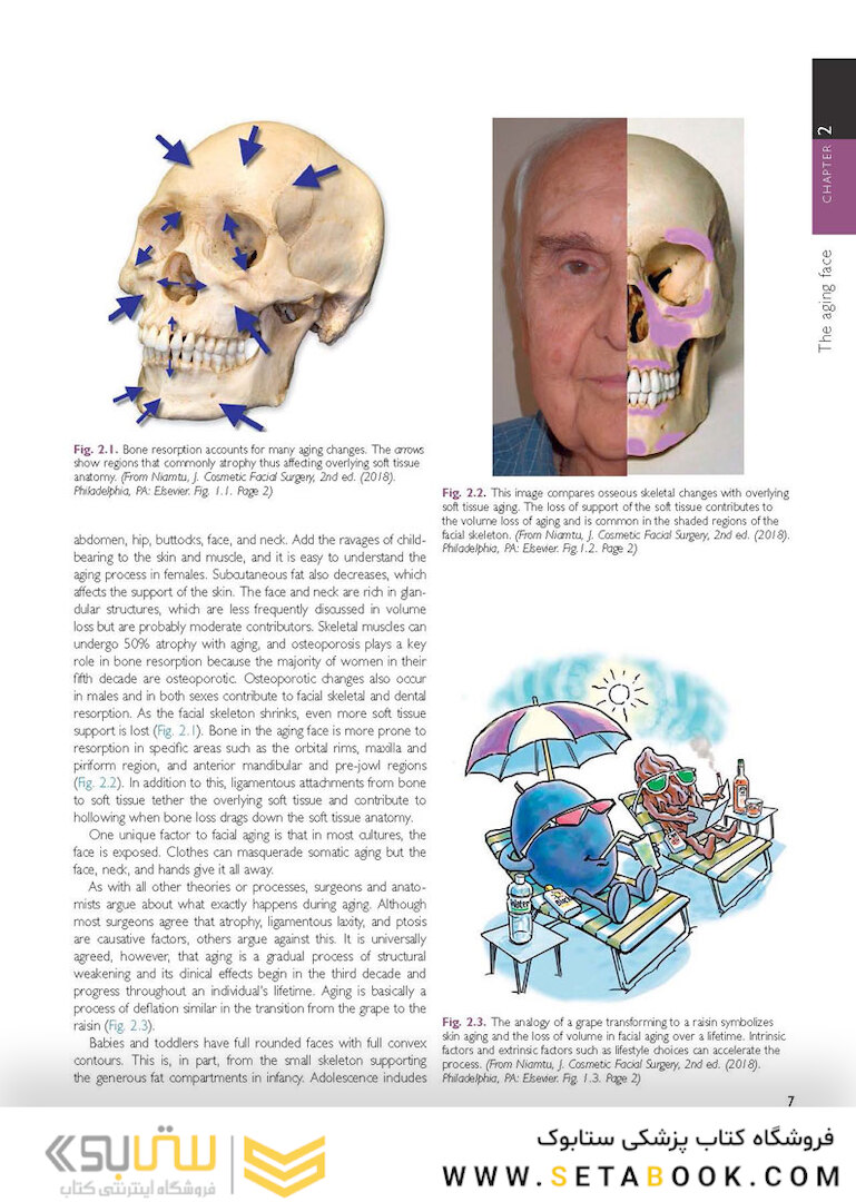 The Art and Science of Facelift Surgery: A Video Atlas 1st Edicion 2019