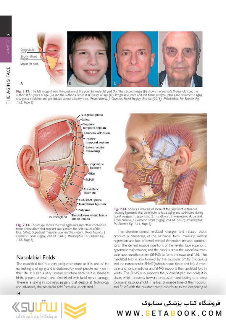 The Art and Science of Facelift Surgery: A Video Atlas 1st Edicion 2019