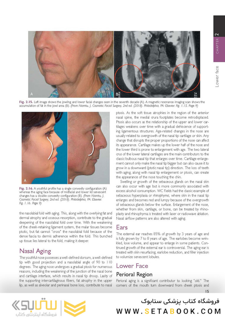 The Art and Science of Facelift Surgery: A Video Atlas 1st Edicion 2019