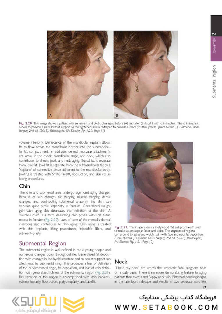 The Art and Science of Facelift Surgery: A Video Atlas 1st Edicion 2019
