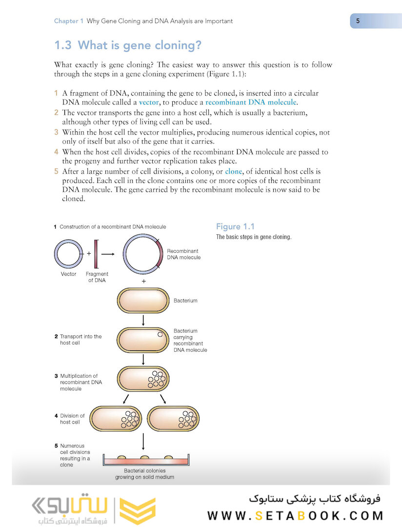 Gene Cloning and DNA Analysis: An Introduction (کلون سازی ژن)