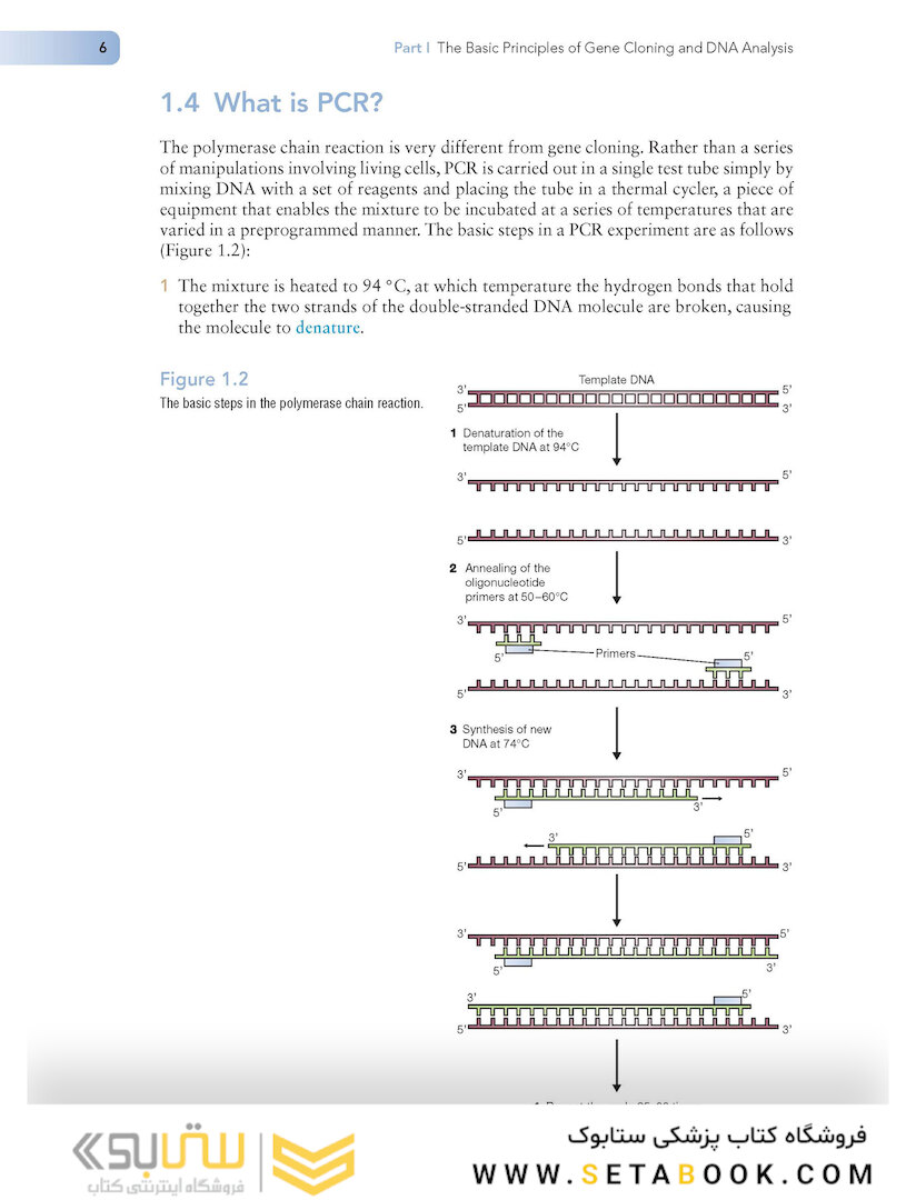Gene Cloning and DNA Analysis: An Introduction (کلون سازی ژن)