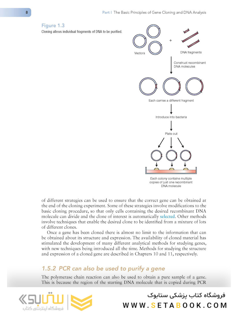 Gene Cloning and DNA Analysis: An Introduction (کلون سازی ژن)