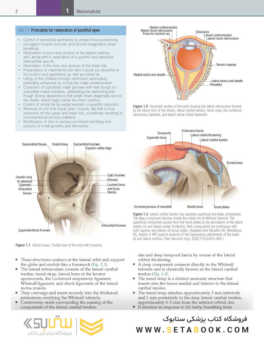 Core Procedures in Plastic Surgery 2nd Edition 2020