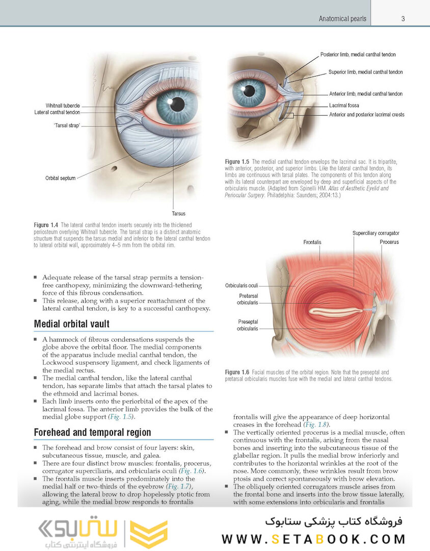 Core Procedures in Plastic Surgery 2nd Edition 2020