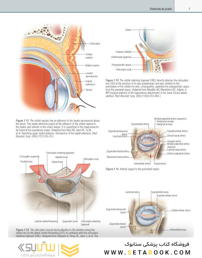 Core Procedures in Plastic Surgery 2nd Edition 2020