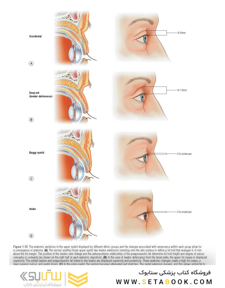 Core Procedures in Plastic Surgery 2nd Edition 2020