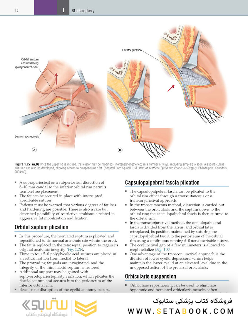 Core Procedures in Plastic Surgery 2nd Edition 2020