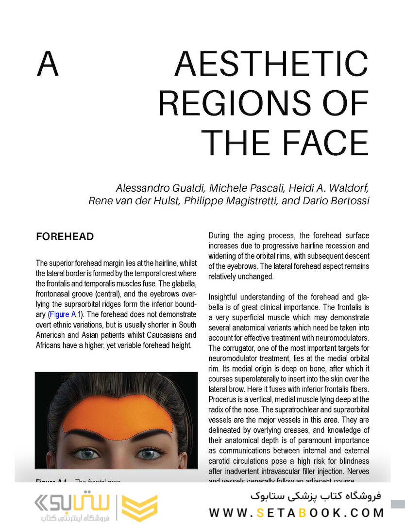 Aesthetic Facial Anatomy Essentials for Injections (The PRIME Series) 1st Edition