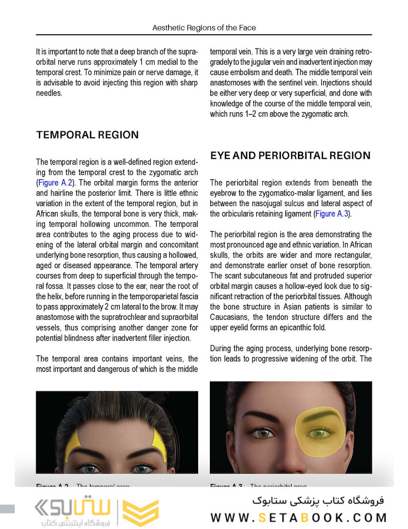 Aesthetic Facial Anatomy Essentials for Injections (The PRIME Series) 1st Edition