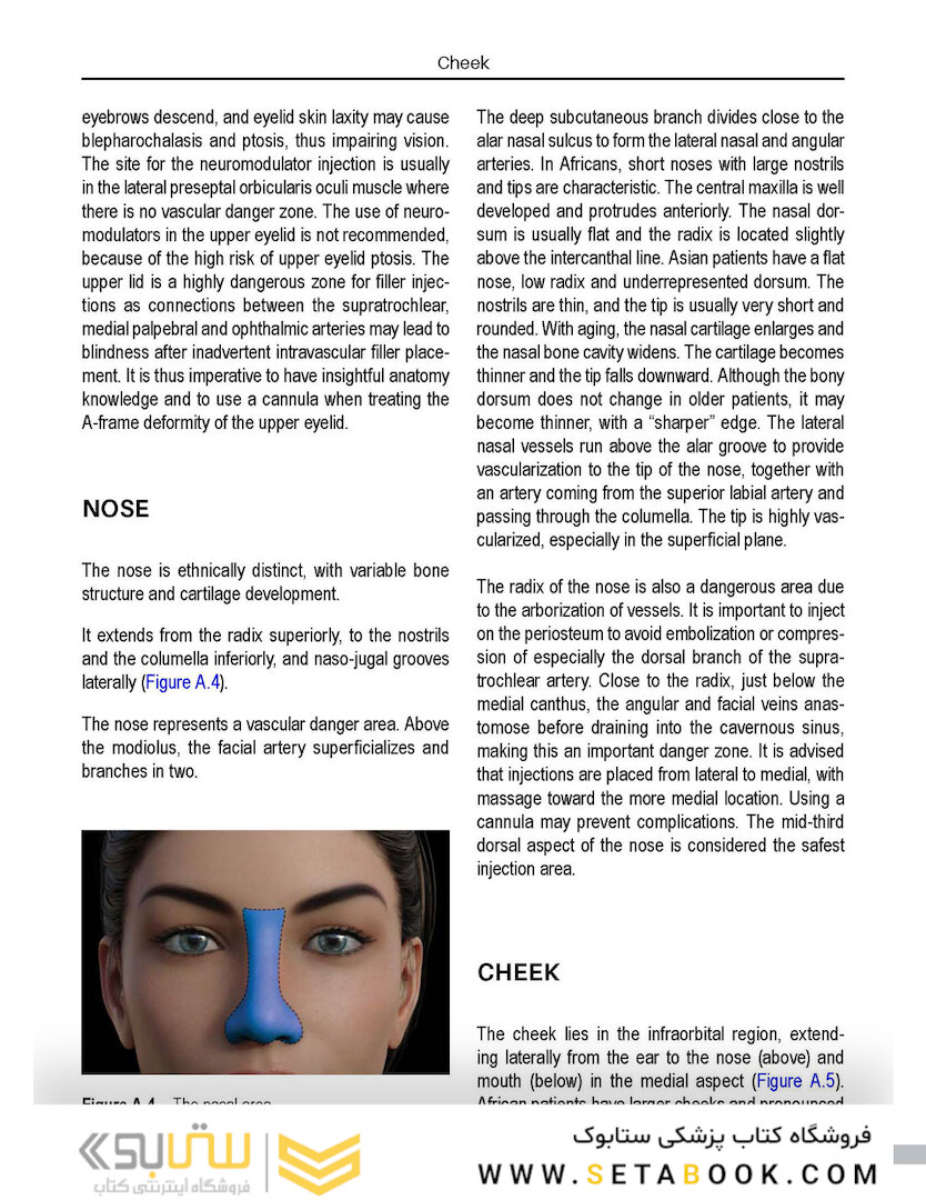 Aesthetic Facial Anatomy Essentials for Injections (The PRIME Series) 1st Edition