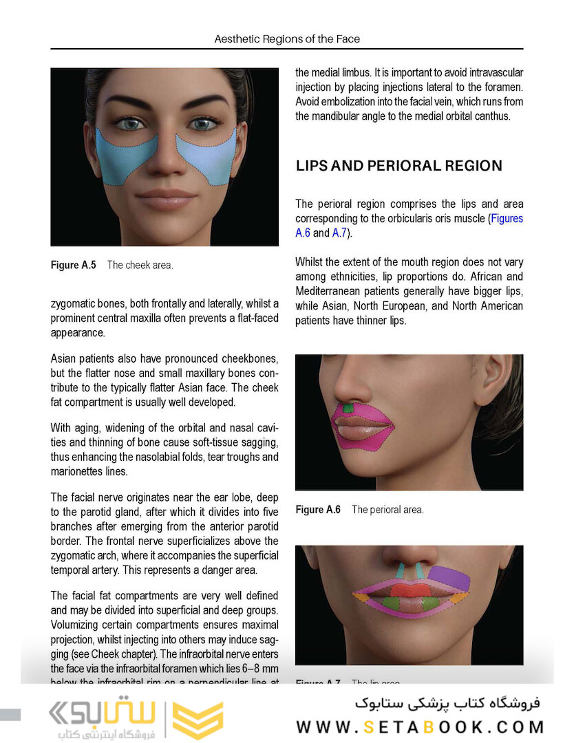 Aesthetic Facial Anatomy Essentials for Injections (The PRIME Series) 1st Edition