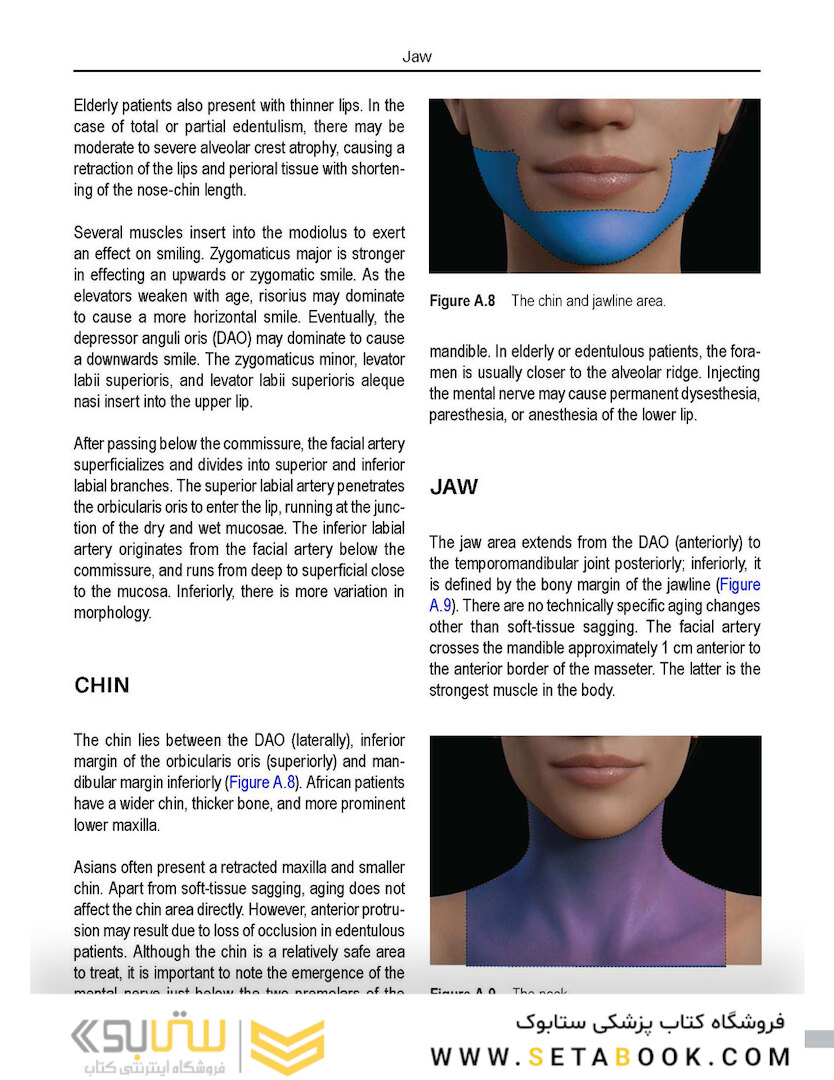 Aesthetic Facial Anatomy Essentials for Injections (The PRIME Series) 1st Edition