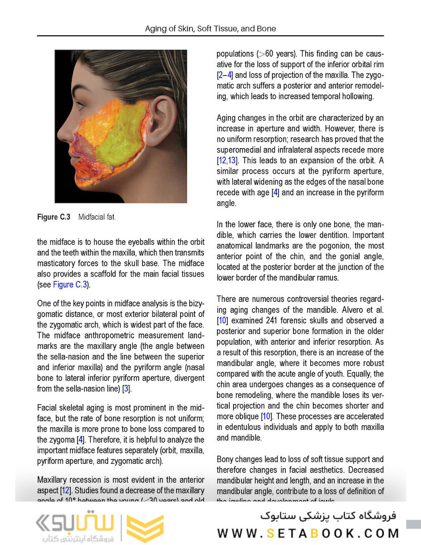 Aesthetic Facial Anatomy Essentials for Injections (The PRIME Series) 1st Edition
