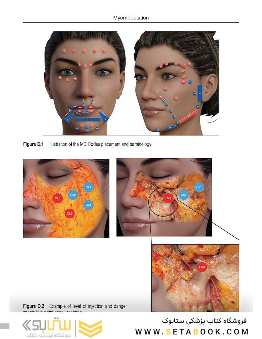 Aesthetic Facial Anatomy Essentials for Injections (The PRIME Series) 1st Edition
