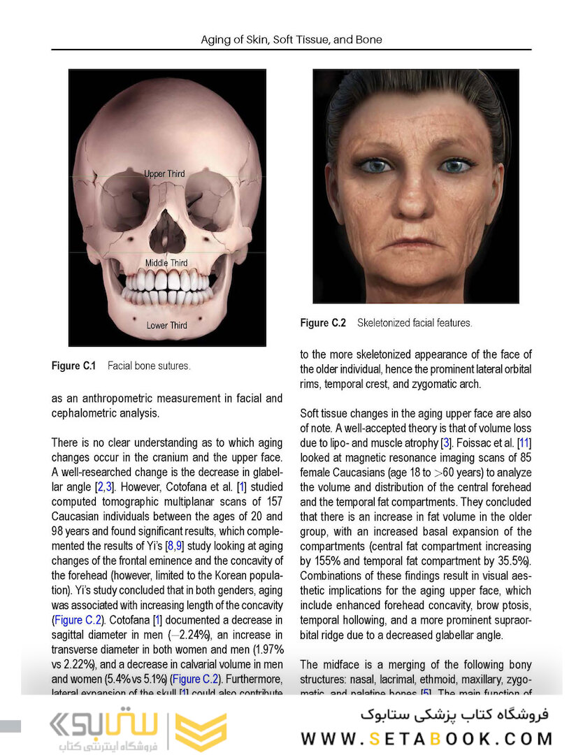 Aesthetic Facial Anatomy Essentials for Injections (The PRIME Series) 1st Edition