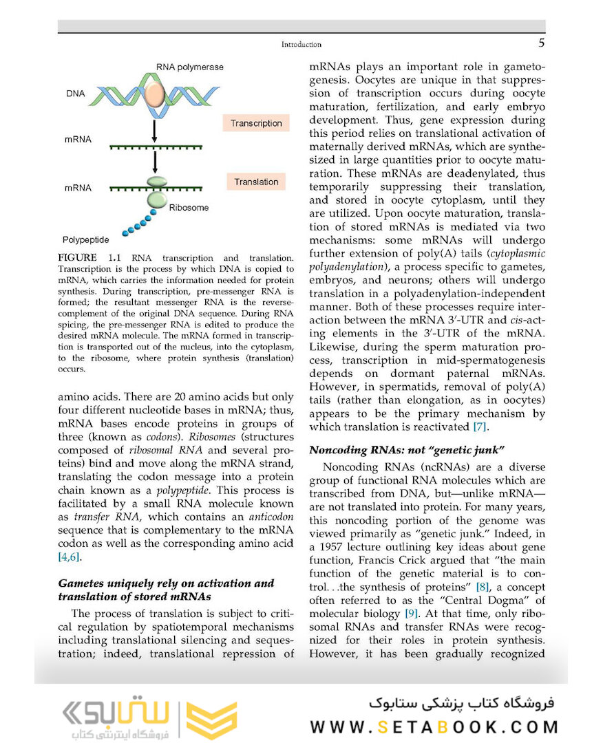 Human Reproductive Genetics, 1st Edition 2020