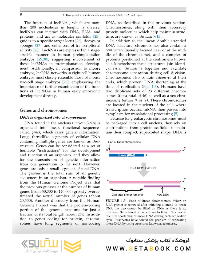 Human Reproductive Genetics, 1st Edition 2020