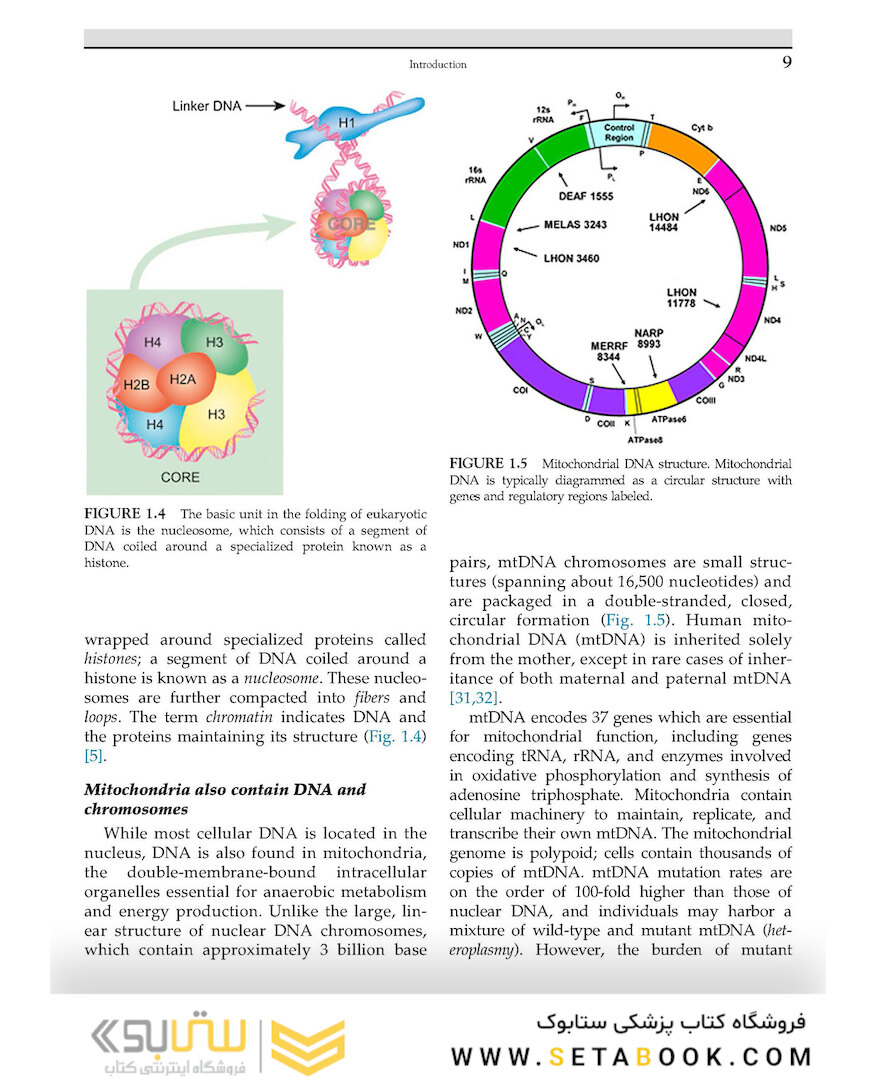 Human Reproductive Genetics, 1st Edition 2020