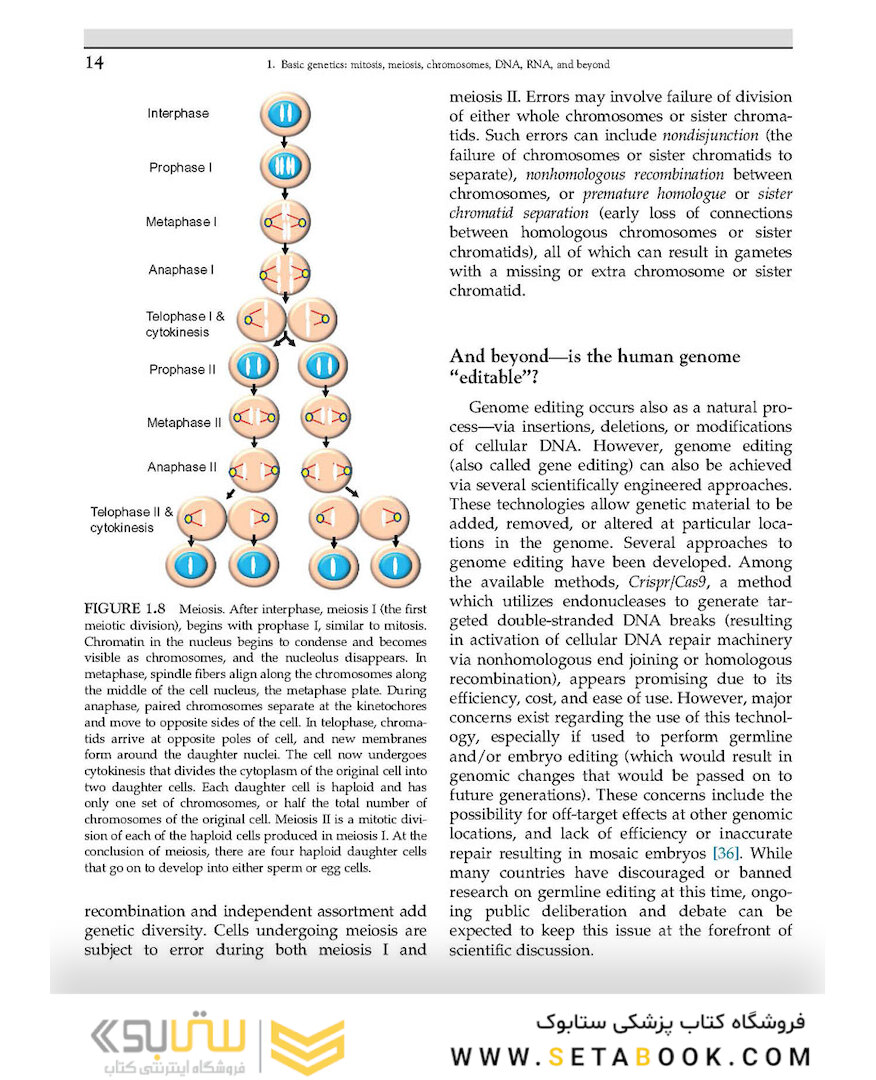 Human Reproductive Genetics, 1st Edition 2020