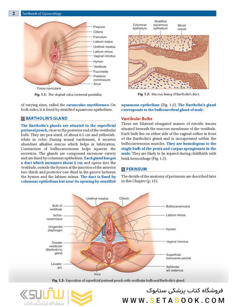 DC Dutta’s Textbook of Gynecology, 8th Edition2020
