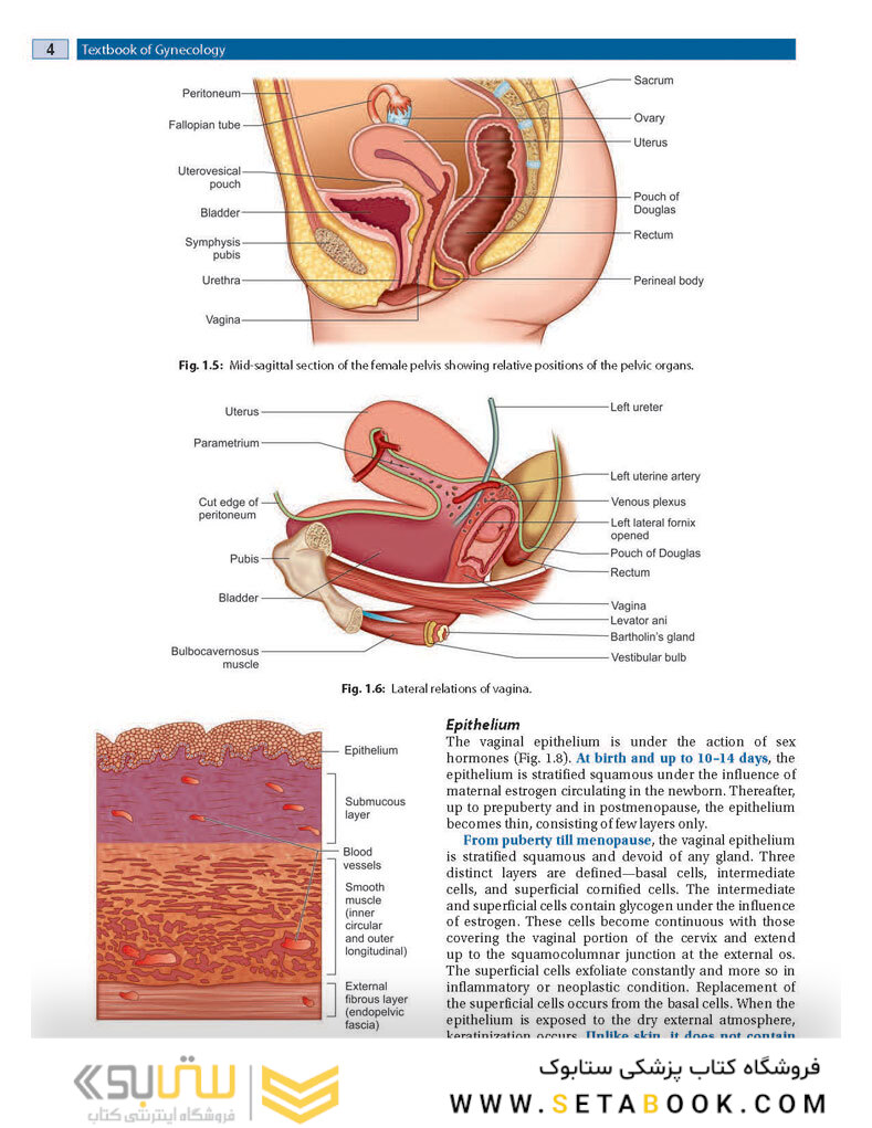 DC Dutta’s Textbook of Gynecology, 8th Edition2020
