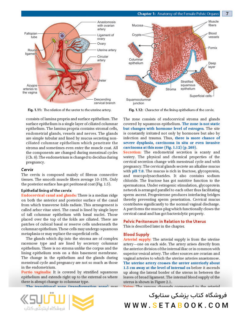 DC Dutta’s Textbook of Gynecology, 8th Edition2020