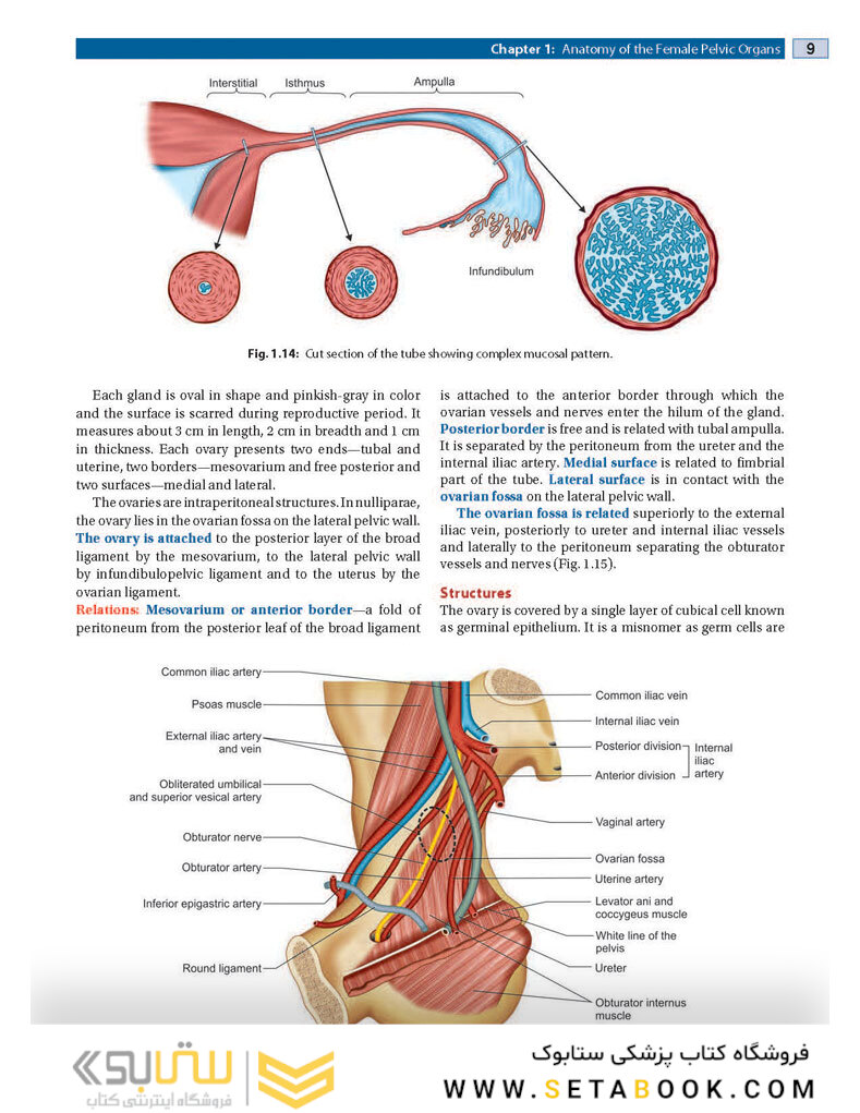 DC Dutta’s Textbook of Gynecology, 8th Edition2020