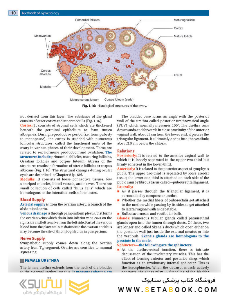 DC Dutta’s Textbook of Gynecology, 8th Edition2020