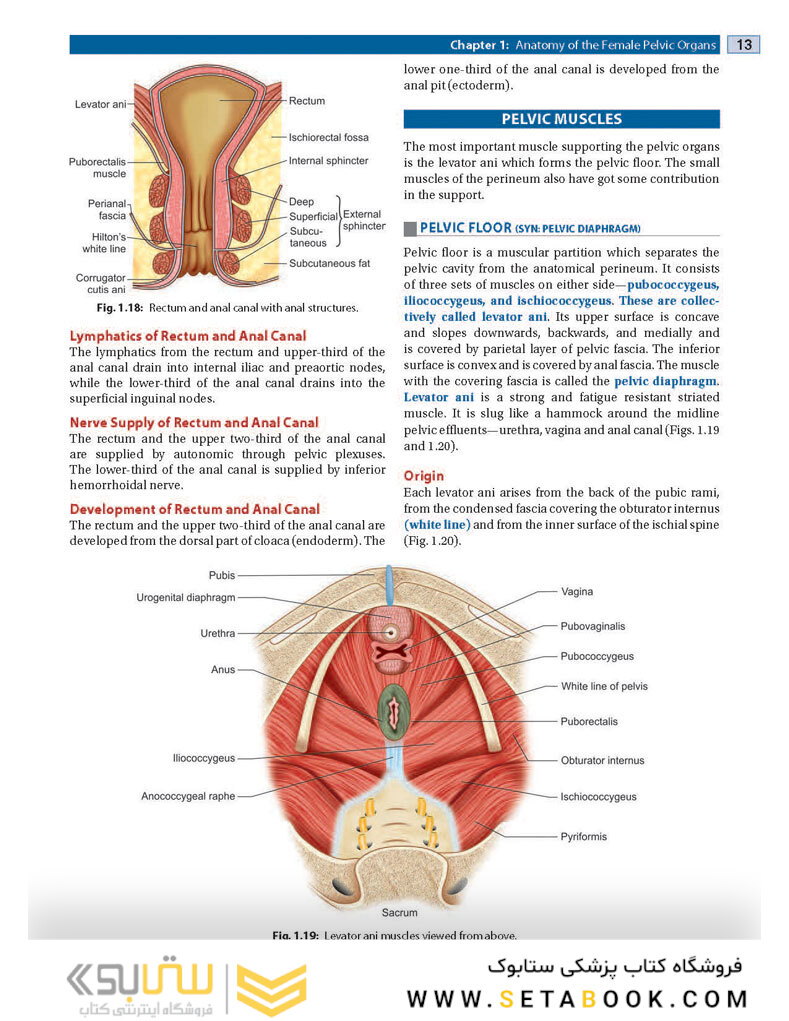 DC Dutta’s Textbook of Gynecology, 8th Edition2020