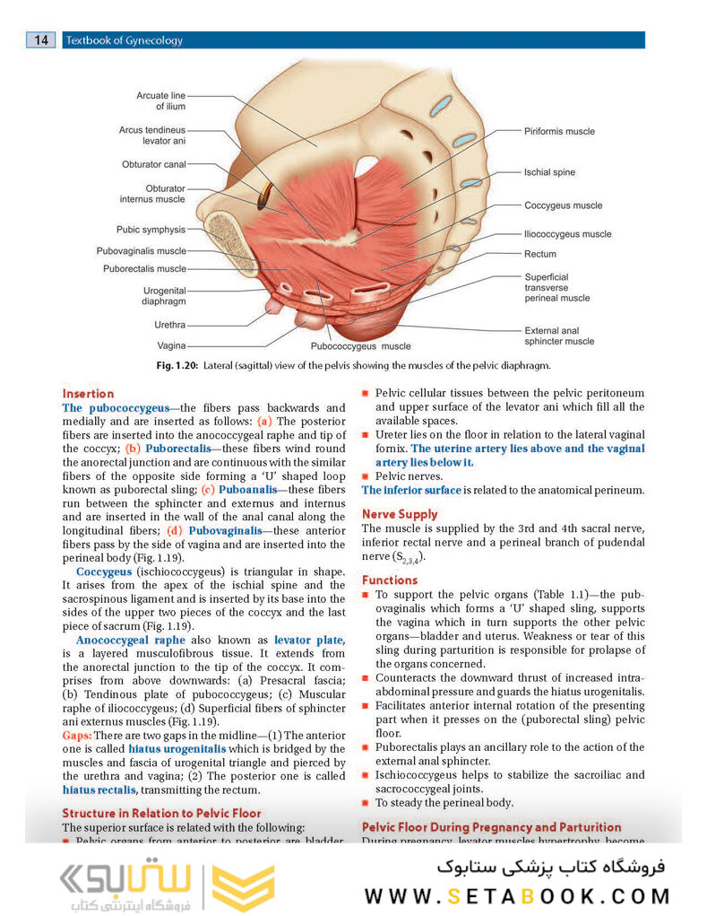 DC Dutta’s Textbook of Gynecology, 8th Edition2020