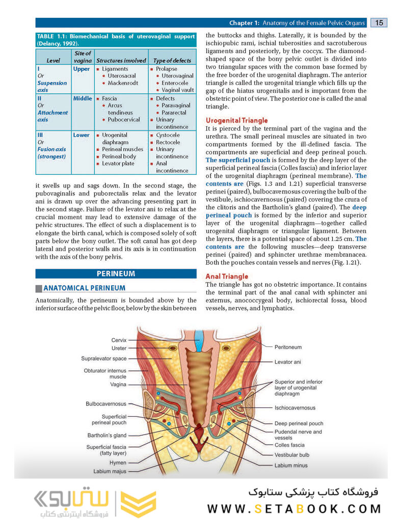 DC Dutta’s Textbook of Gynecology, 8th Edition2020