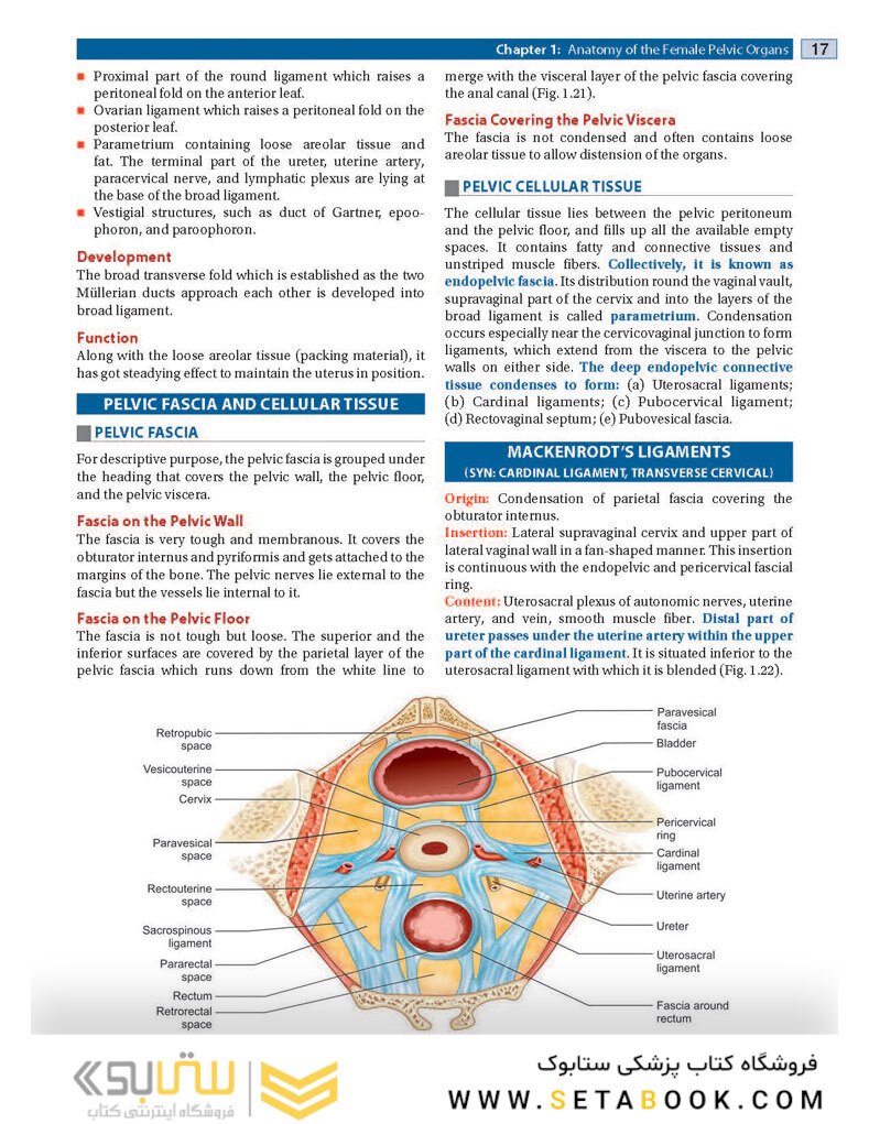 DC Dutta’s Textbook of Gynecology, 8th Edition2020