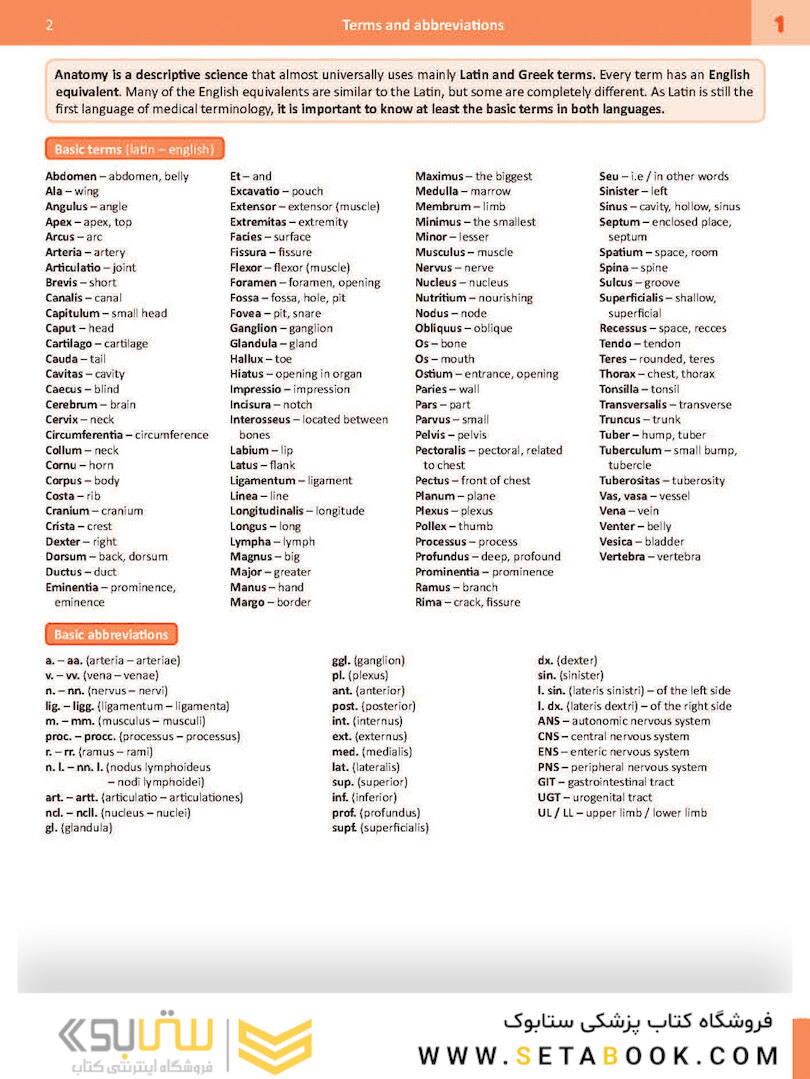 Memorix Anatomy 2016