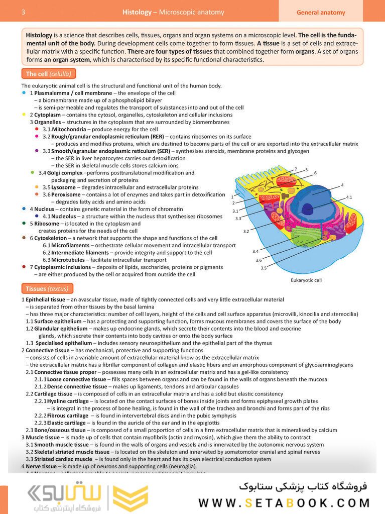 Memorix Anatomy 2016