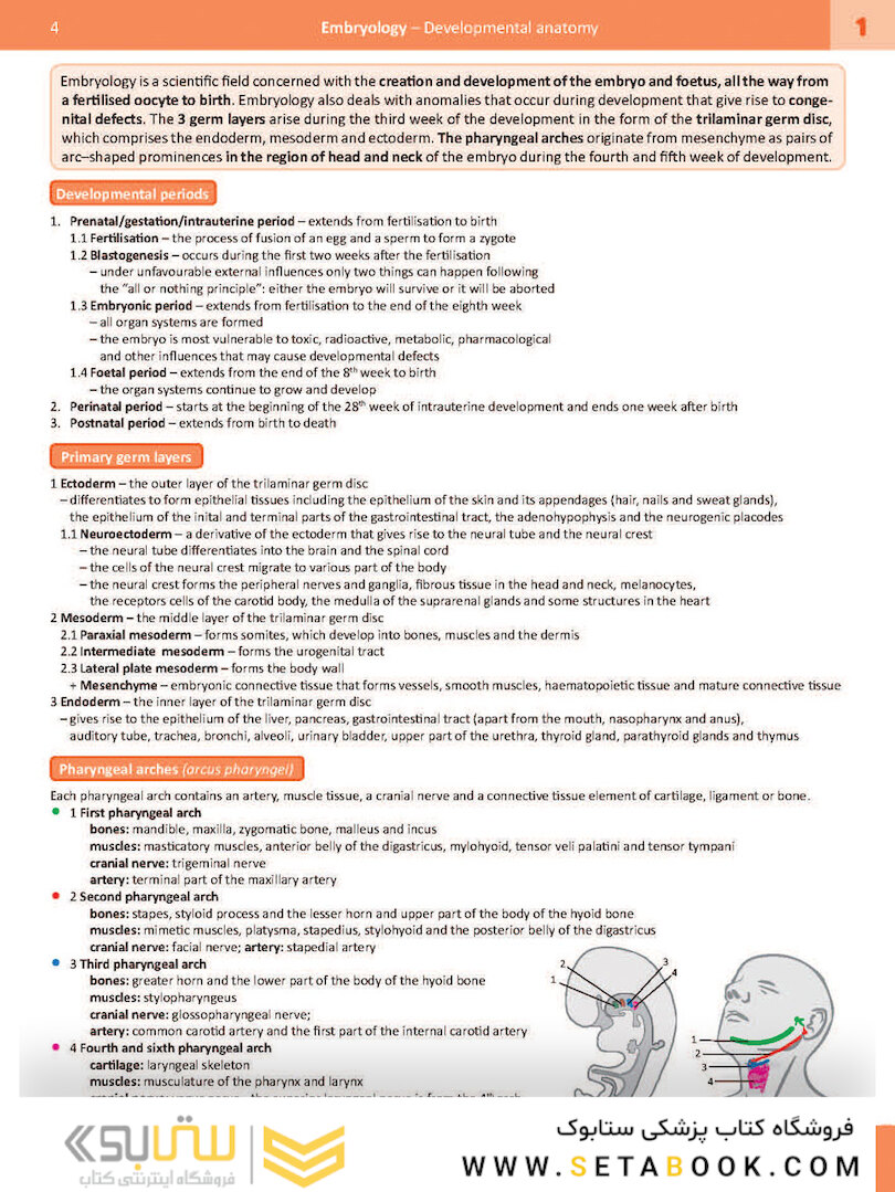 Memorix Anatomy 2016