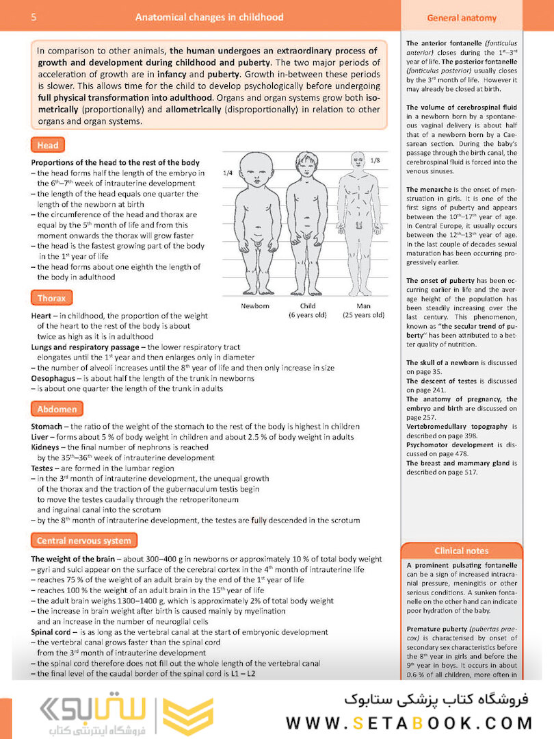 Memorix Anatomy 2016