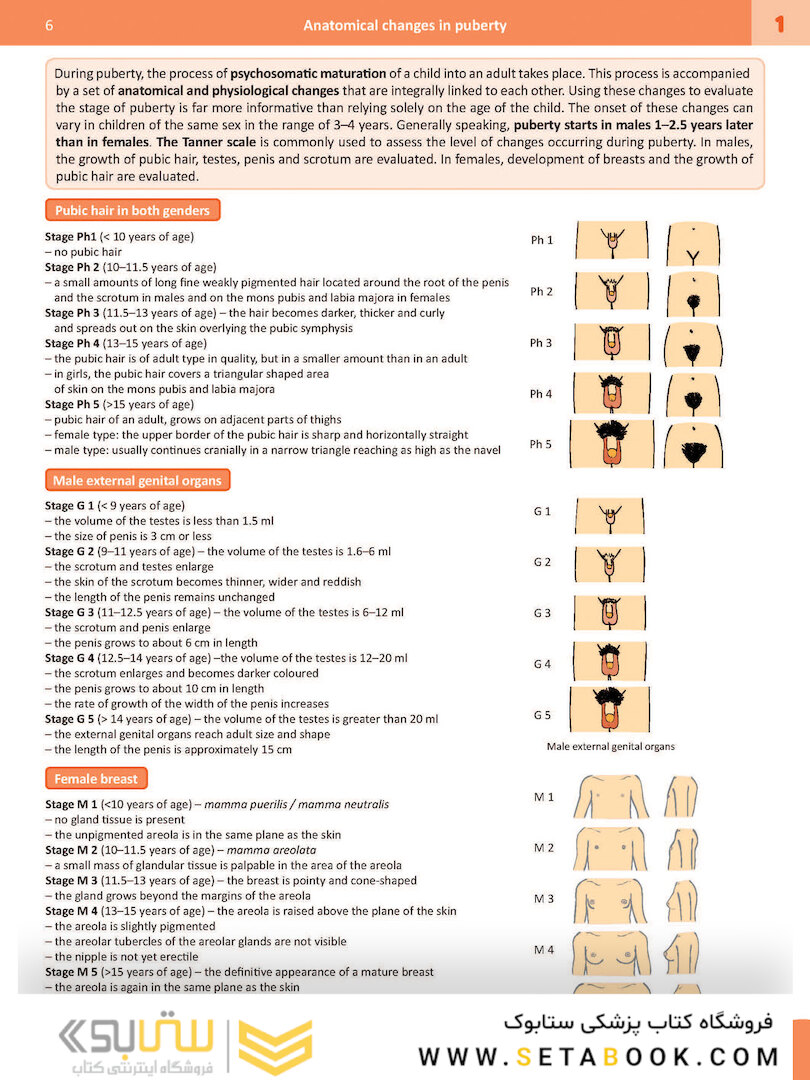Memorix Anatomy 2016