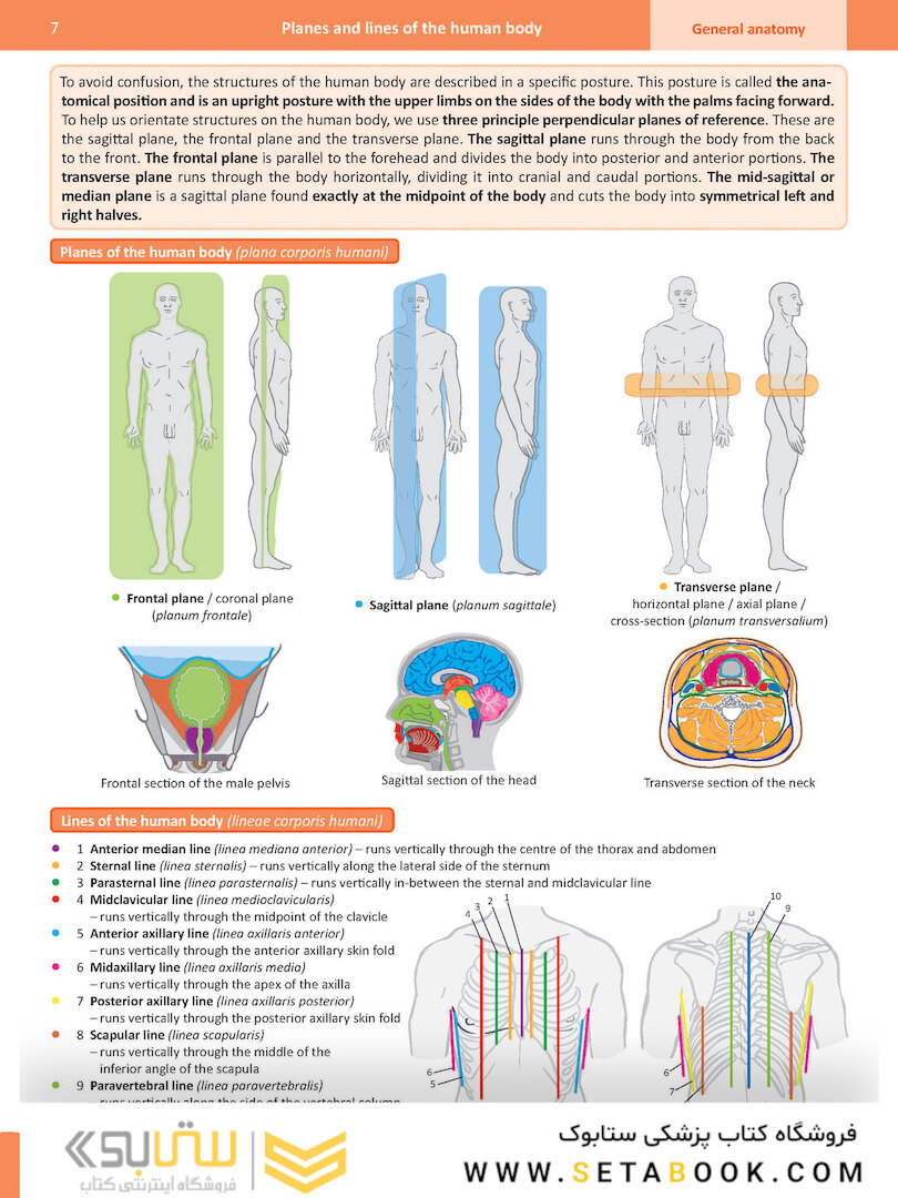 Memorix Anatomy 2016
